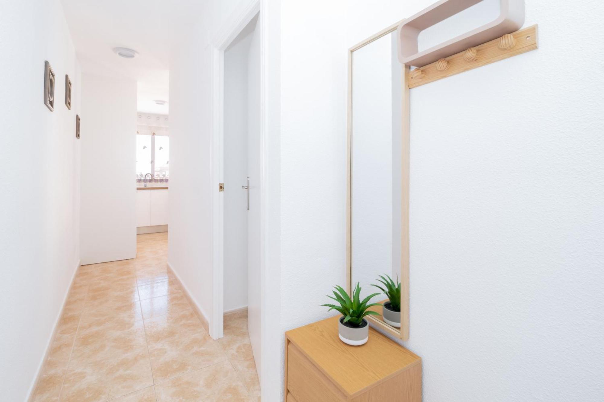 Apartamento 50M Al Mar Τορεβιέχα Εξωτερικό φωτογραφία